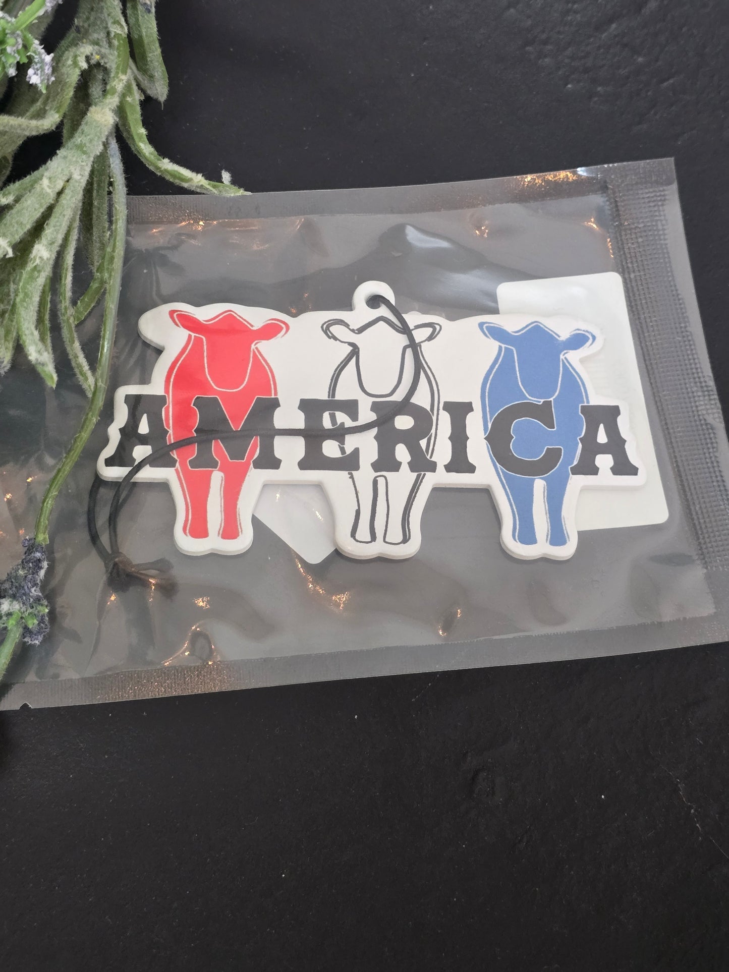 Printed Air Freshies