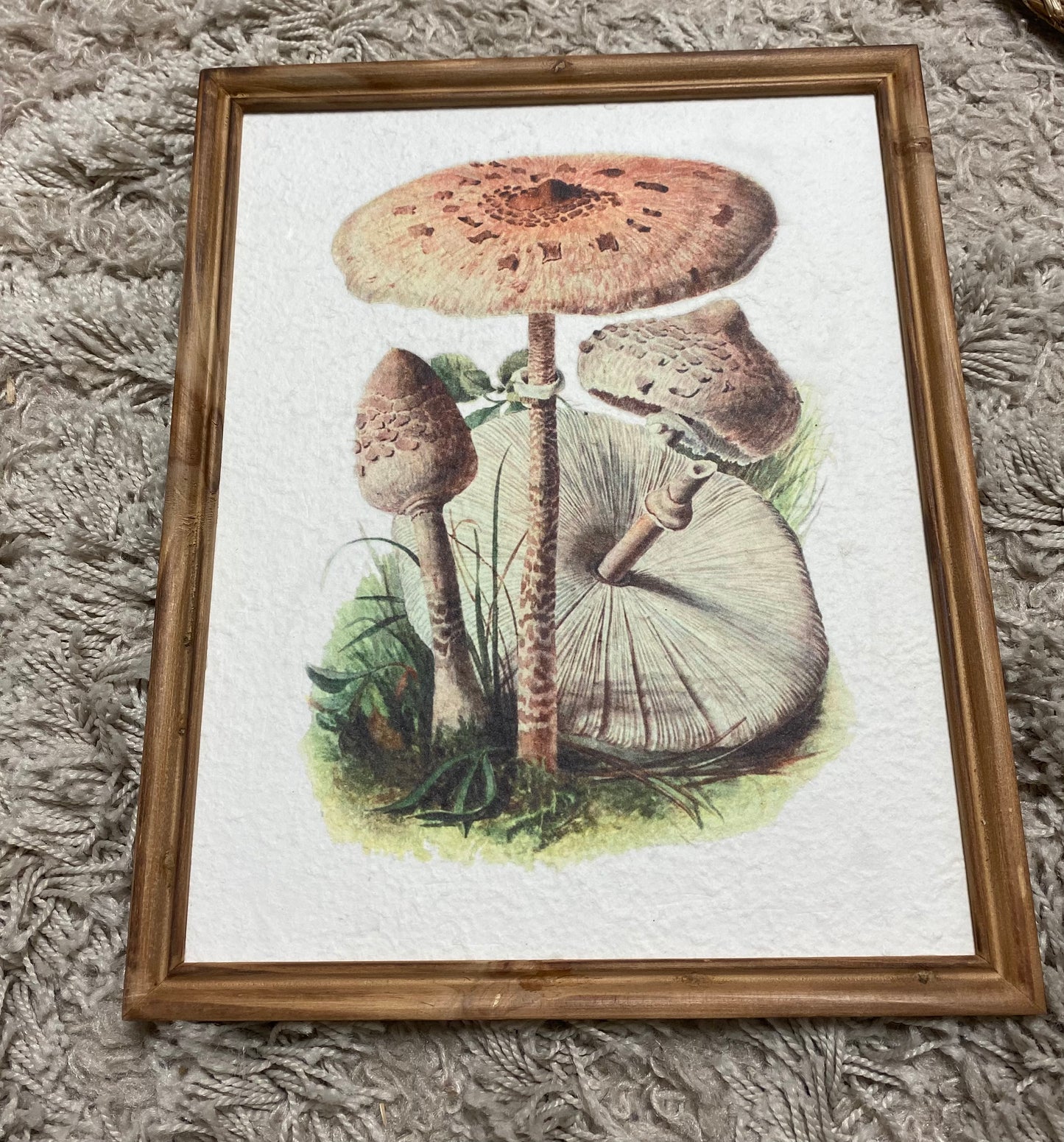 May Mushroom Framed Wall Art