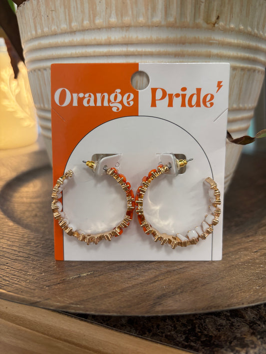 Team Pride Earrings