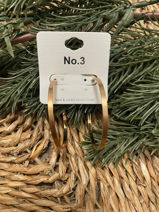 Large Goldtone Hoop Earrings