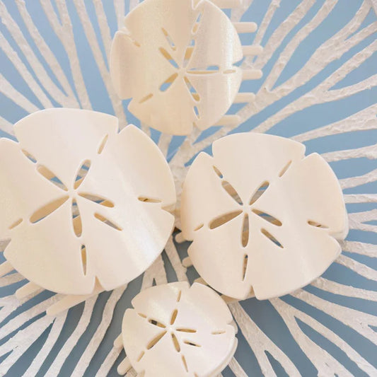 Sand Dollar Teletie Clip(Preorder)