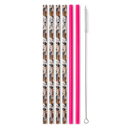 Hayride + Hot Pink Reusable SWIG Straw Set