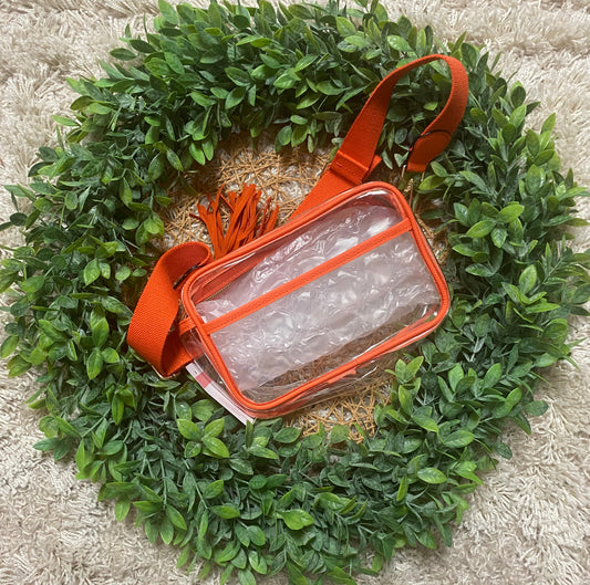 Large Clear Crossbody Bag