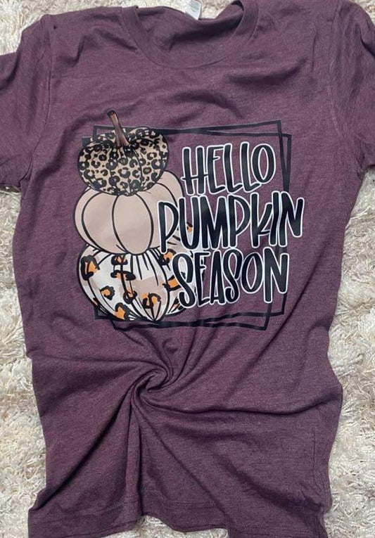 Hello Pumpkin Season Tee